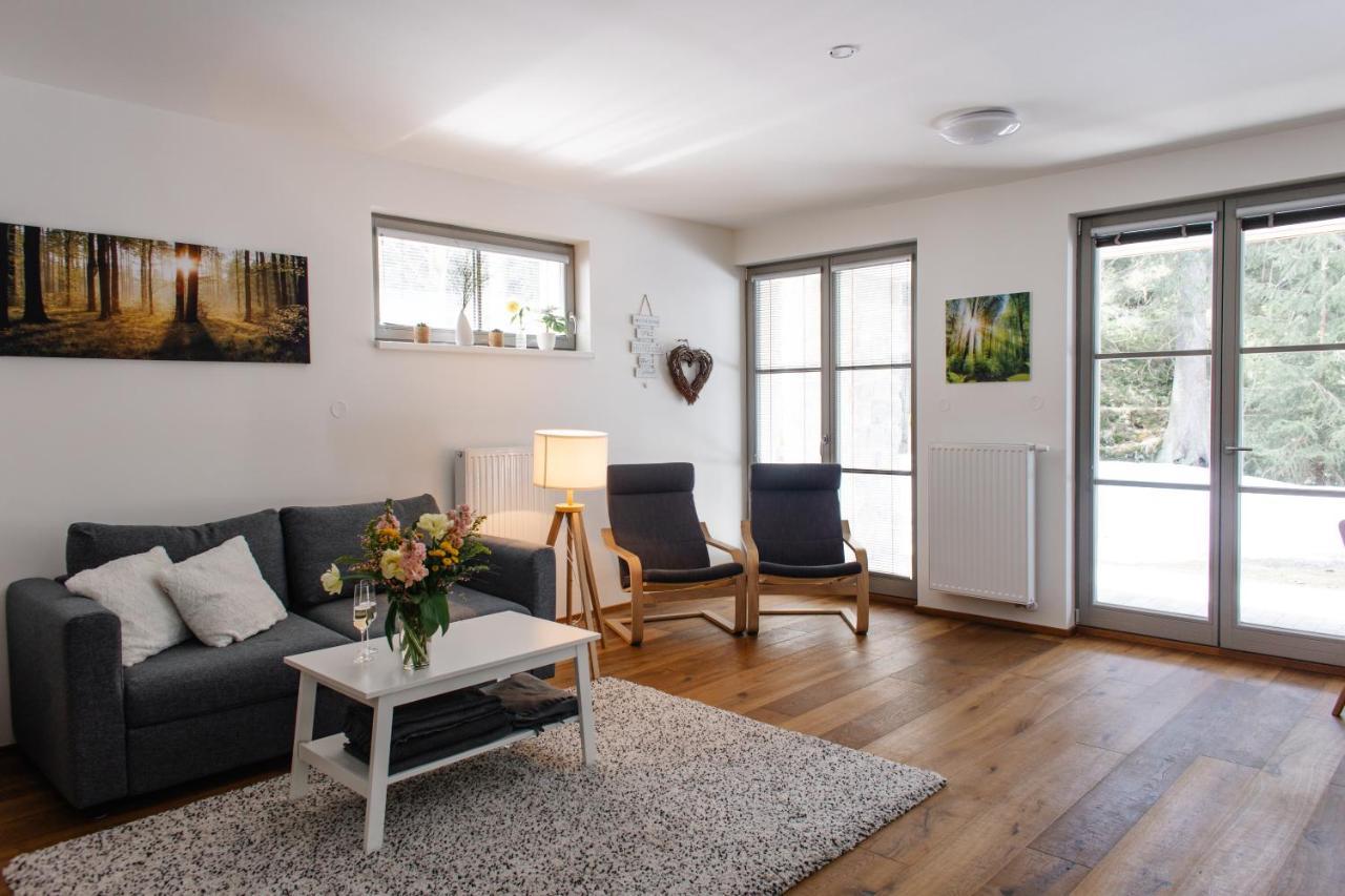Apartman S Nadhernym Vyhledem V Centru Harrachova Εξωτερικό φωτογραφία